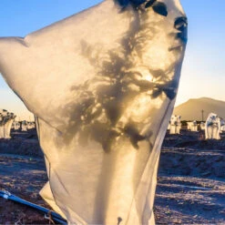 2 HOUSSES 80 X 100 Cm HIVERNAGE PLANTES NON-TISSE GEL -Magasin D'outils Pour La Maison 2 housses hivernage plantes 80 x 100 cm non tisse gel 3