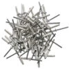250 RIVETS TRILOBES ETOILES ECLATEURS 4.8 X 22 Mm TOUT ALU - BLANCS