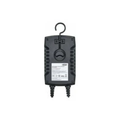 Ring CHARGEUR DE BATTERIE AUTOMATIQUE 12/24V CAMPING CAR, STOP AND START -Magasin D'outils Pour La Maison chargeur de batterie automatique 12 24v 1