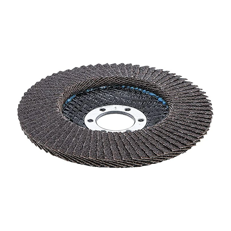 DISQUE Ø 115 Mm 22 Mm A LAMELLES BGS GRAIN DE 60 5 DISQUE Ø 115 Mm 22 Mm A LAMELLES BGS GRAIN DE 60 – Image 3