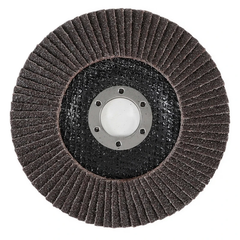 DISQUE Ø 125 Mm 22 Mm A LAMELLES BGS GRAIN DE 40 4 DISQUE Ø 125 Mm 22 Mm A LAMELLES BGS GRAIN DE 40 – Image 2