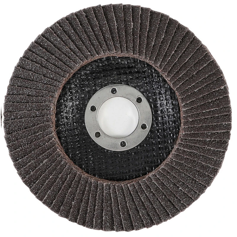 DISQUE Ø 125 Mm 22mm A LAMELLE BGS GRAIN DE 80 4 DISQUE Ø 125 Mm 22mm A LAMELLE BGS GRAIN DE 80 – Image 2