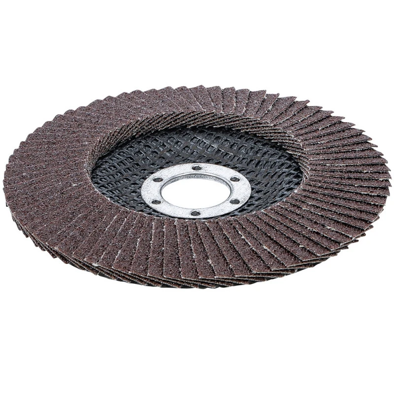 DISQUE Ø 125 Mm 22mm A LAMELLE BGS GRAIN DE 80 5 DISQUE Ø 125 Mm 22mm A LAMELLE BGS GRAIN DE 80 – Image 3