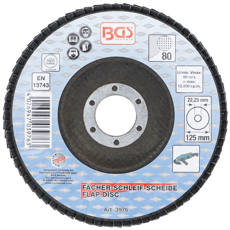 DISQUE Ø 125 Mm 22mm A LAMELLE BGS GRAIN DE 80 3 DISQUE Ø 125 Mm 22mm A LAMELLE BGS GRAIN DE 80