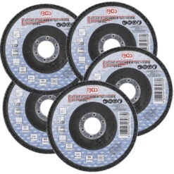 LOT 5 DISQUES Ø 125 Mm 22 Mm A LAMELLES BGS GRAIN DE 120 8 LOT 5 DISQUES Ø 125 Mm 22 Mm A LAMELLES BGS GRAIN DE 120 -Magasin D'outils Pour La Maison lot 5 disques a lamelles bgs o 125 mm 22mm grain de 120 1