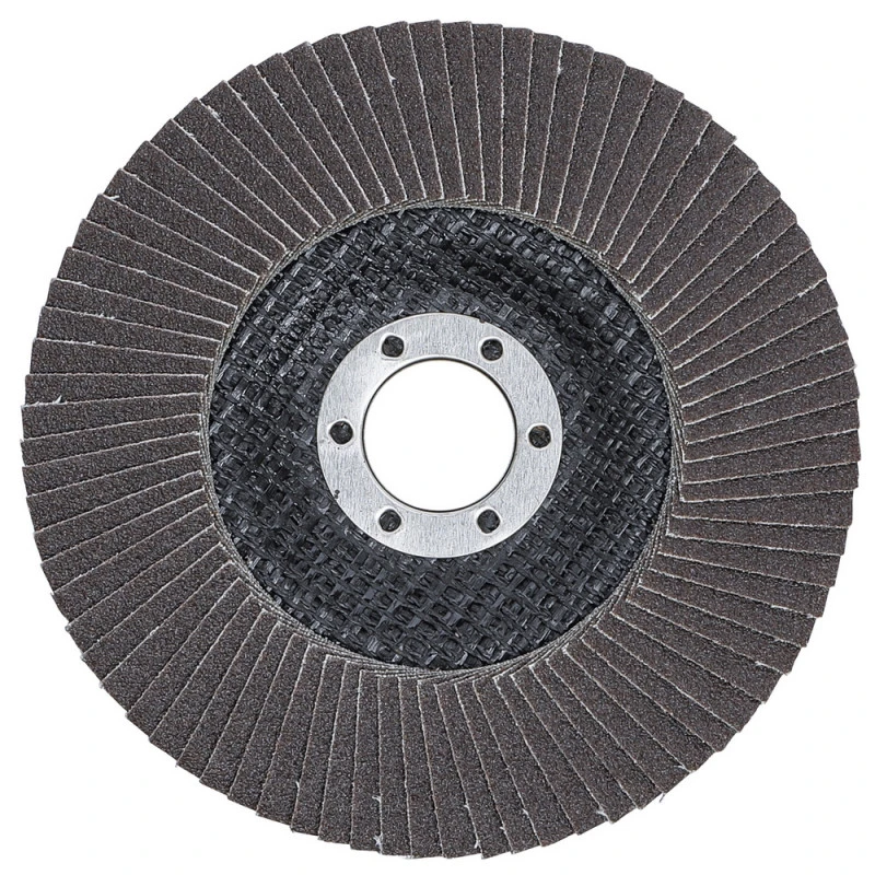 LOT 5 DISQUES Ø 125 Mm 22 Mm A LAMELLES BGS GRAIN DE 120 5 LOT 5 DISQUES Ø 125 Mm 22 Mm A LAMELLES BGS GRAIN DE 120 – Image 3