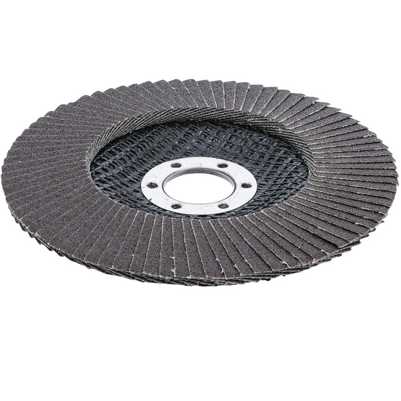 LOT 5 DISQUES Ø 125 Mm 22 Mm A LAMELLES BGS GRAIN DE 120 6 LOT 5 DISQUES Ø 125 Mm 22 Mm A LAMELLES BGS GRAIN DE 120 – Image 4