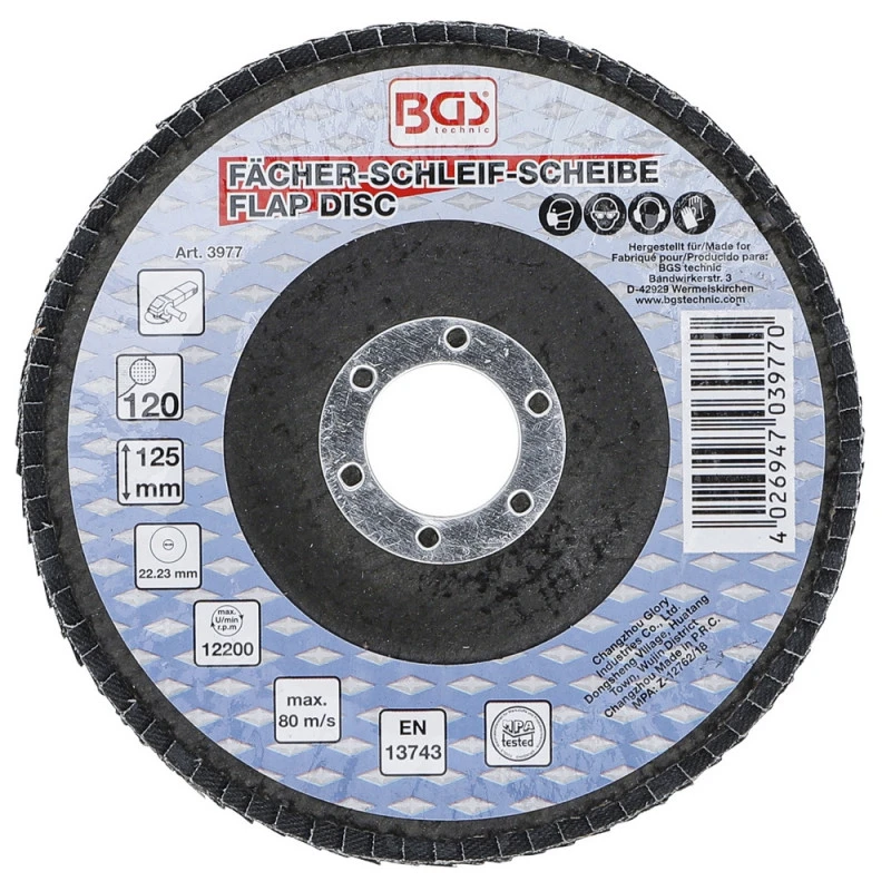 LOT 5 DISQUES Ø 125 Mm 22 Mm A LAMELLES BGS GRAIN DE 120 7 LOT 5 DISQUES Ø 125 Mm 22 Mm A LAMELLES BGS GRAIN DE 120 – Image 5