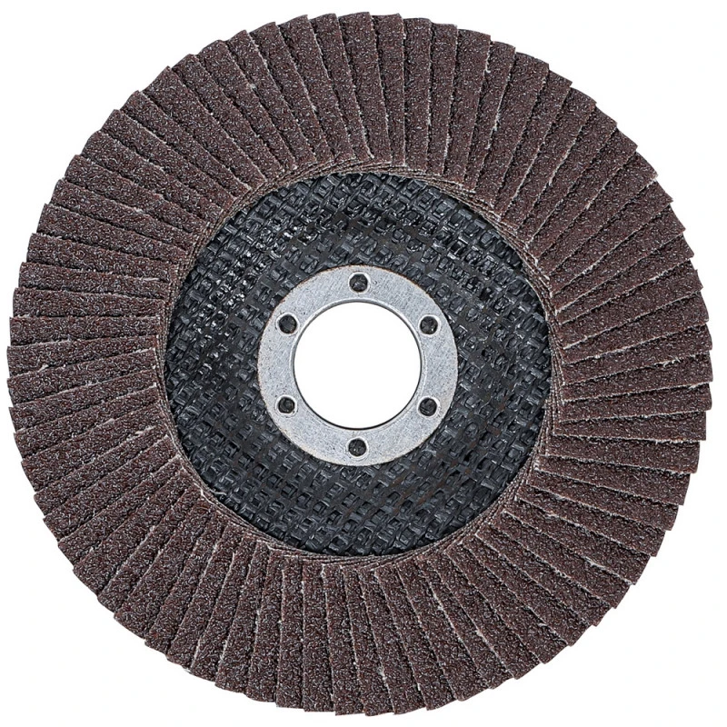 LOT 5 DISQUES Ø 125 Mm 22 Mm A LAMELLES BGS GRAIN DE 80 4 LOT 5 DISQUES Ø 125 Mm 22 Mm A LAMELLES BGS GRAIN DE 80 – Image 2